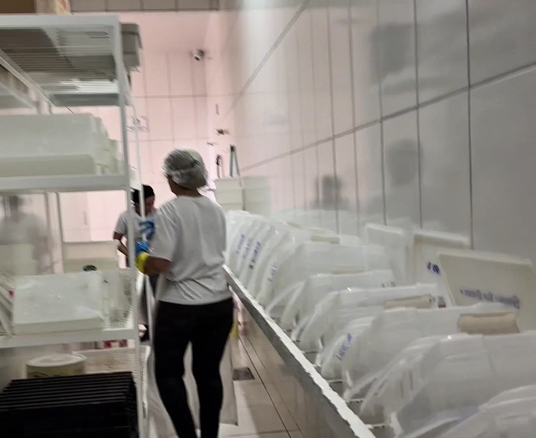 Caixas de lanches organizadas para envio